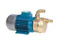 Tellarini ECC 12/20, 23 L/dk kapasiteli, 19 mm hortum uyumlu bronz gövdeli 12V su pompası.