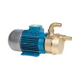 Tellarini ECC 12/25, 62 L/dk kapasiteli bronz gövdeli 12V tekne su pompası.