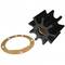 Jabsco 17935-0001-P marin impeller, 95 x 63 x 25 mm ölçüleriyle deniz suyu pompaları için orijinal yedek parçadır.